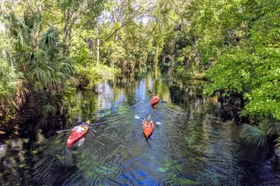 paddling in Ocala