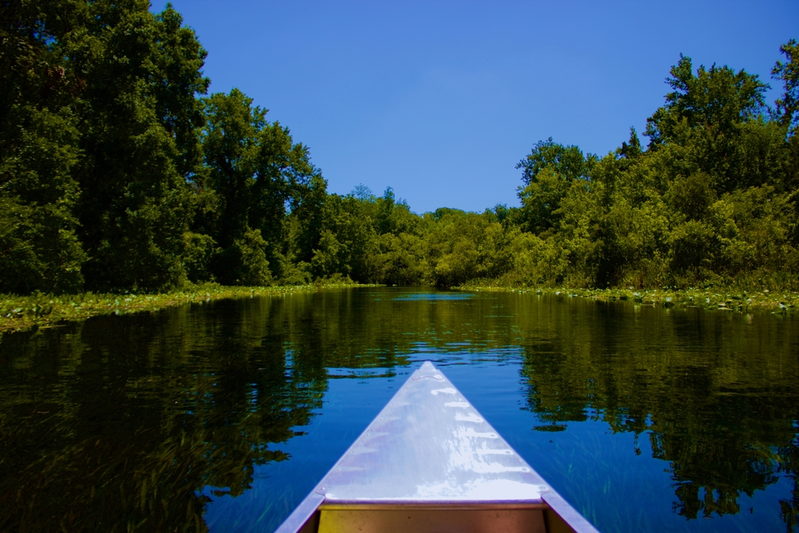 canoe in Ocala National Forest