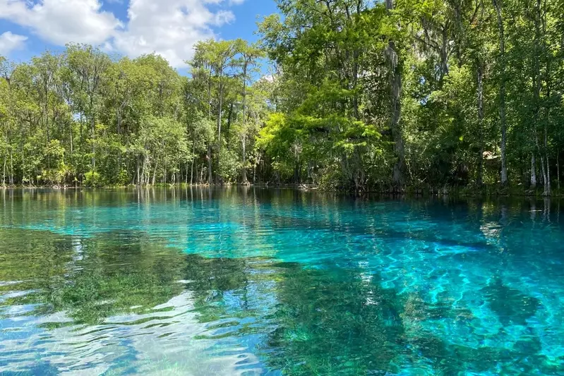 Silver Springs State Park