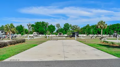 Deluxe Site CR 113