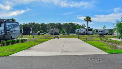 Deluxe Site CR 250