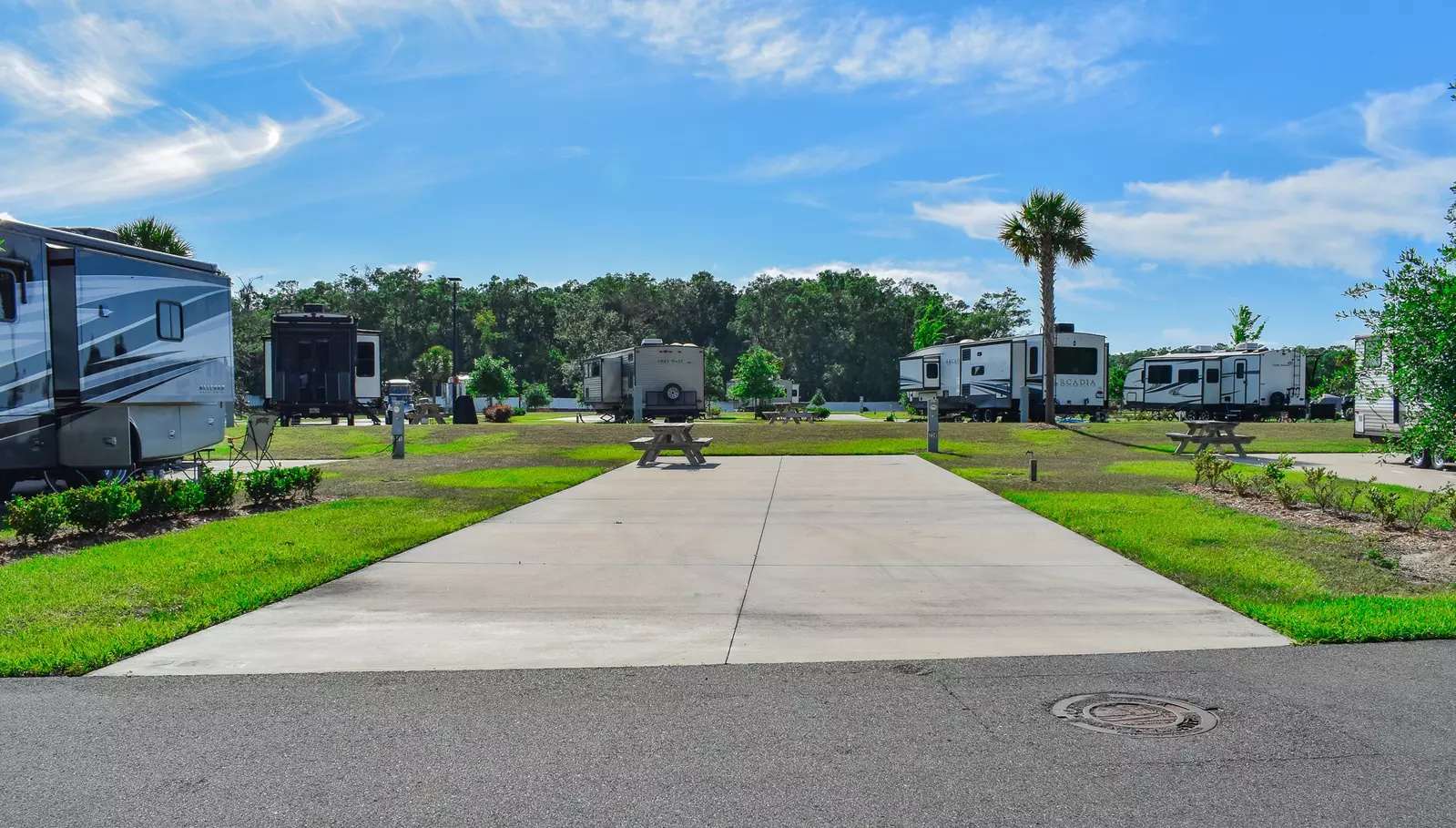 Deluxe Site CR 250