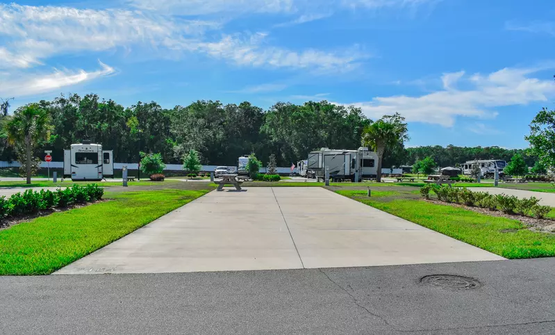 Deluxe Site CR 272