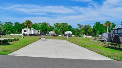 Deluxe Site CR 281
