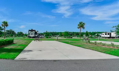 Deluxe Site CR 321
