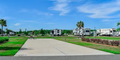 Deluxe Site CR 323