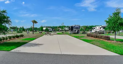 Deluxe Site CR 331