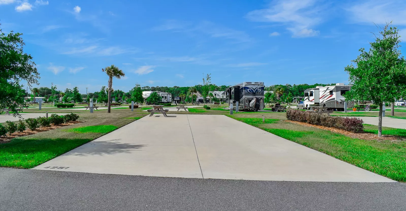 Deluxe Site CR 331