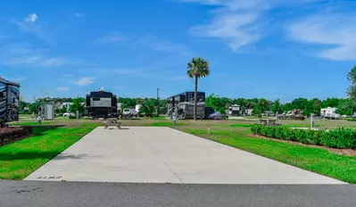 Deluxe Site CR 336