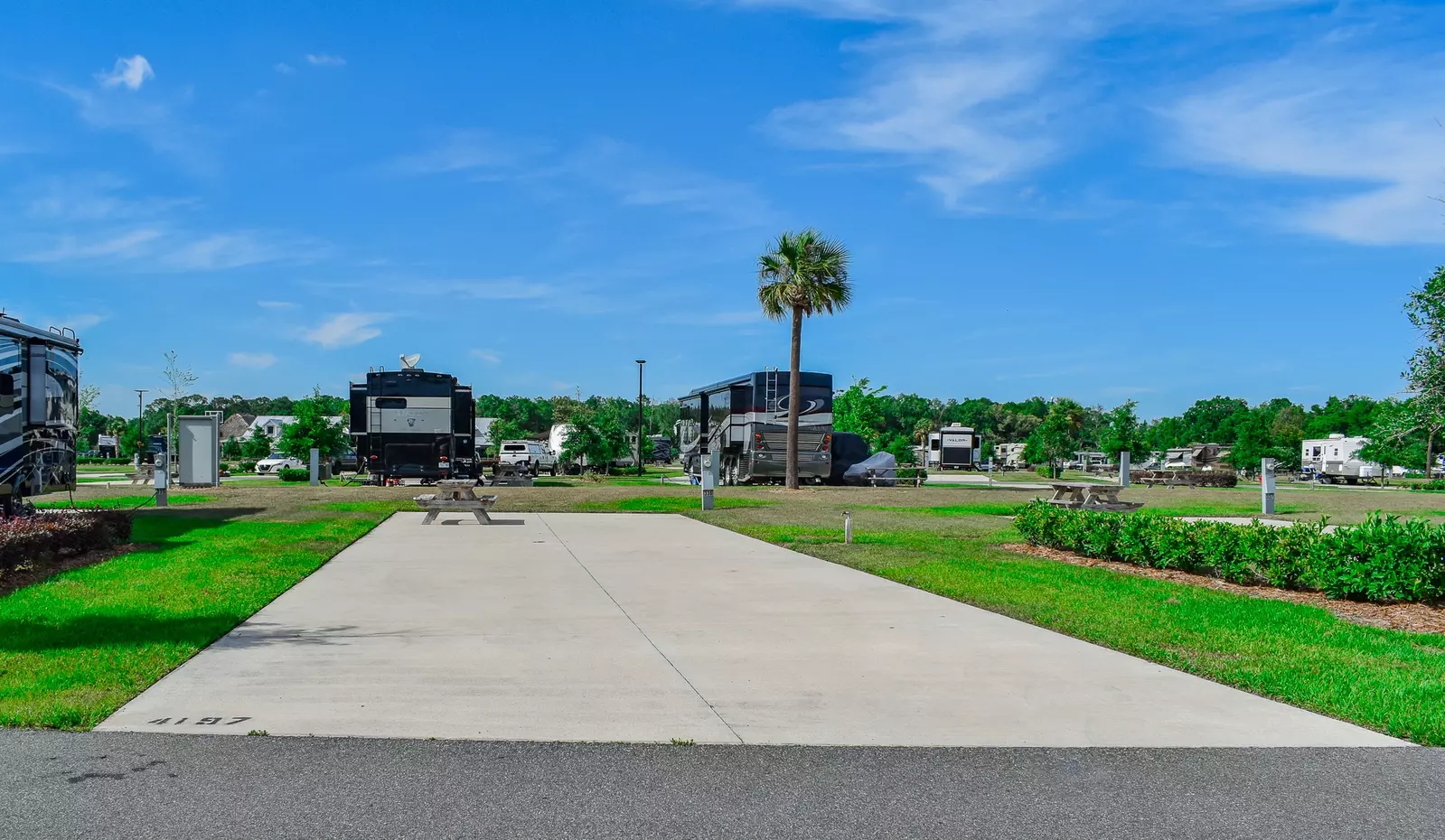 Deluxe Site CR 336