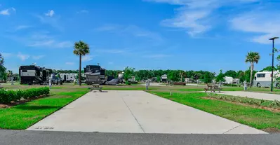Deluxe Site CR 337