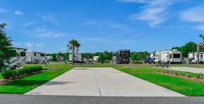 Deluxe Site CR 341