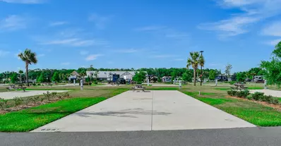 Deluxe Site CR 381