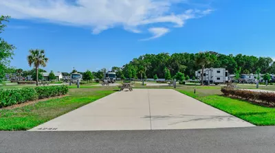 Deluxe Site CR 408