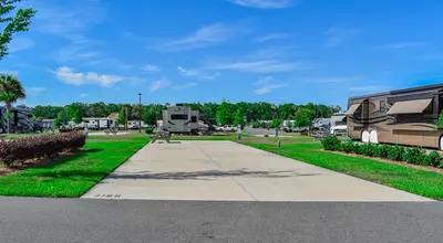 Deluxe Site CR 424