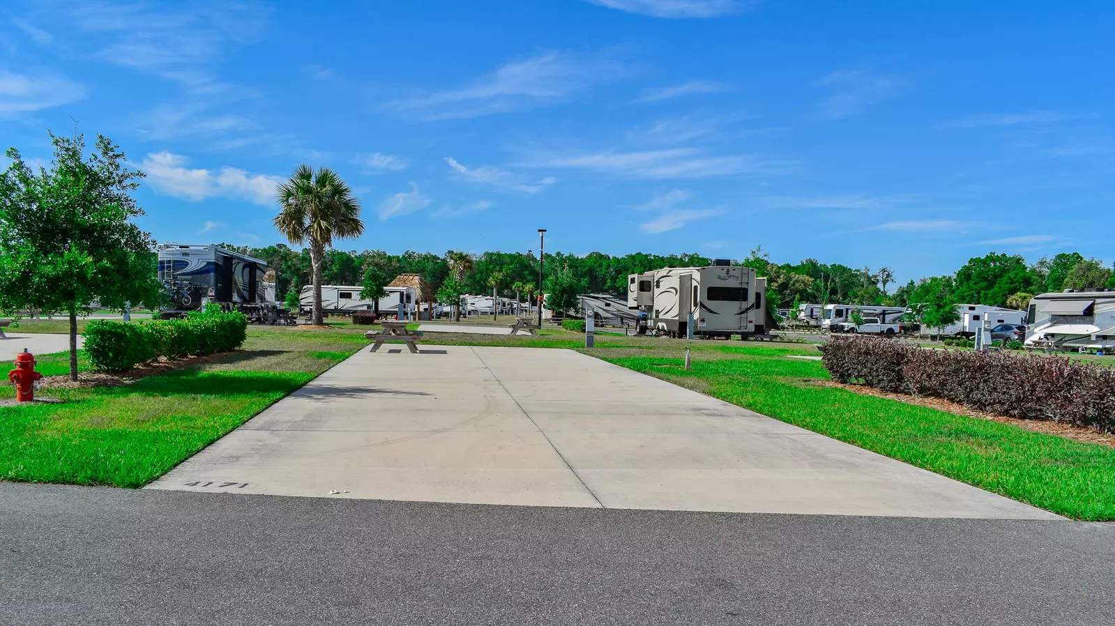 Deluxe Site CR 425
