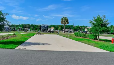 Deluxe Site CR 426