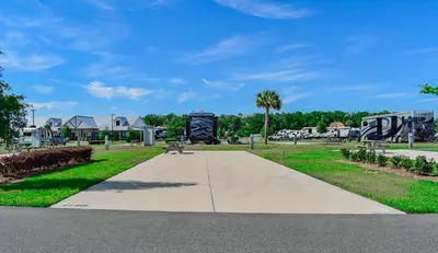 Deluxe Site CR 428