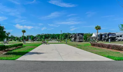 Deluxe Site CR 437