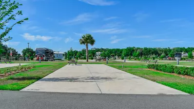 Deluxe Site CR 442