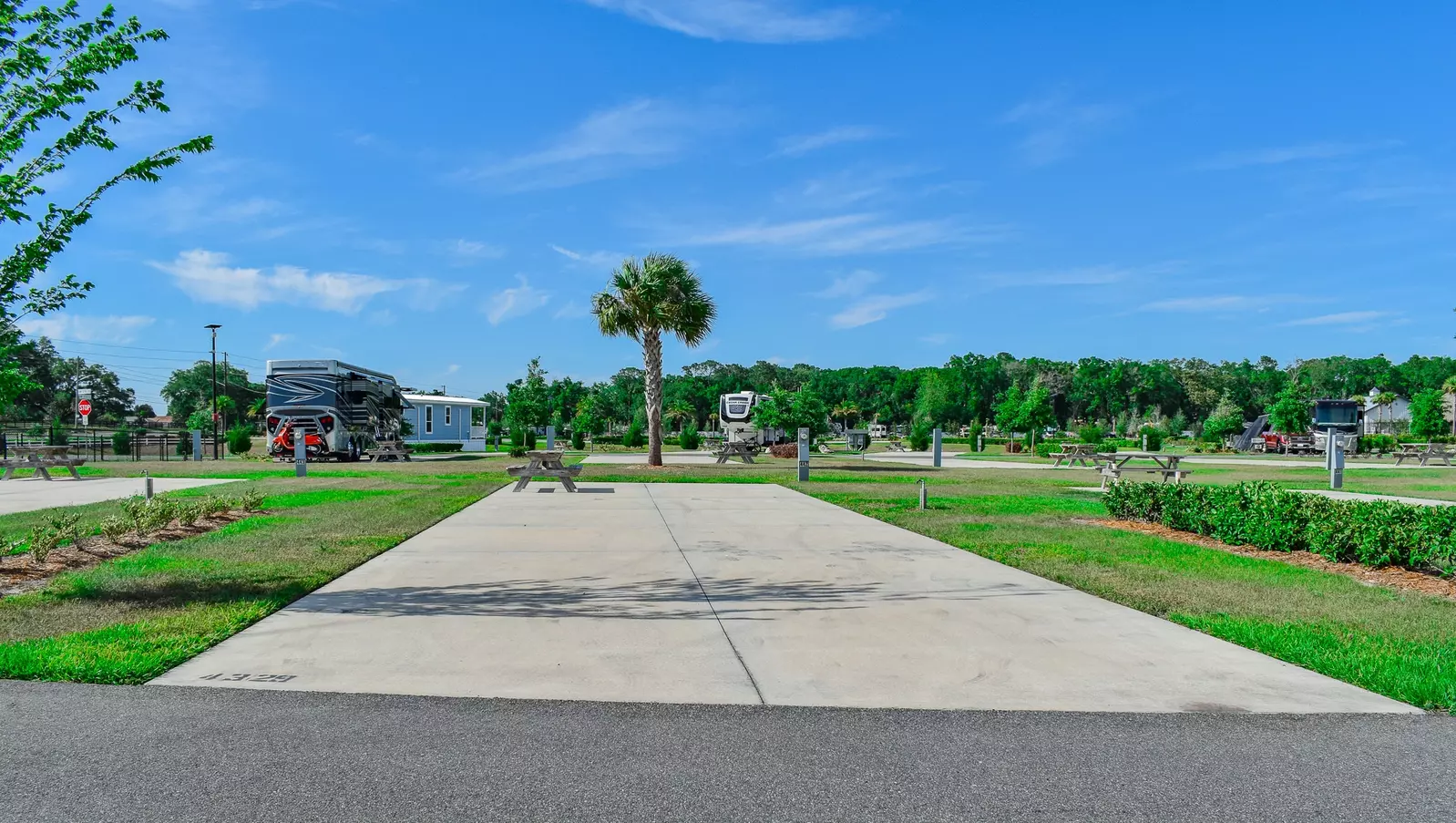 Deluxe Site CR 442