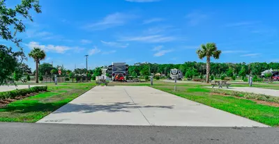 Deluxe Site CR 443