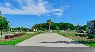 Deluxe Site CR 446